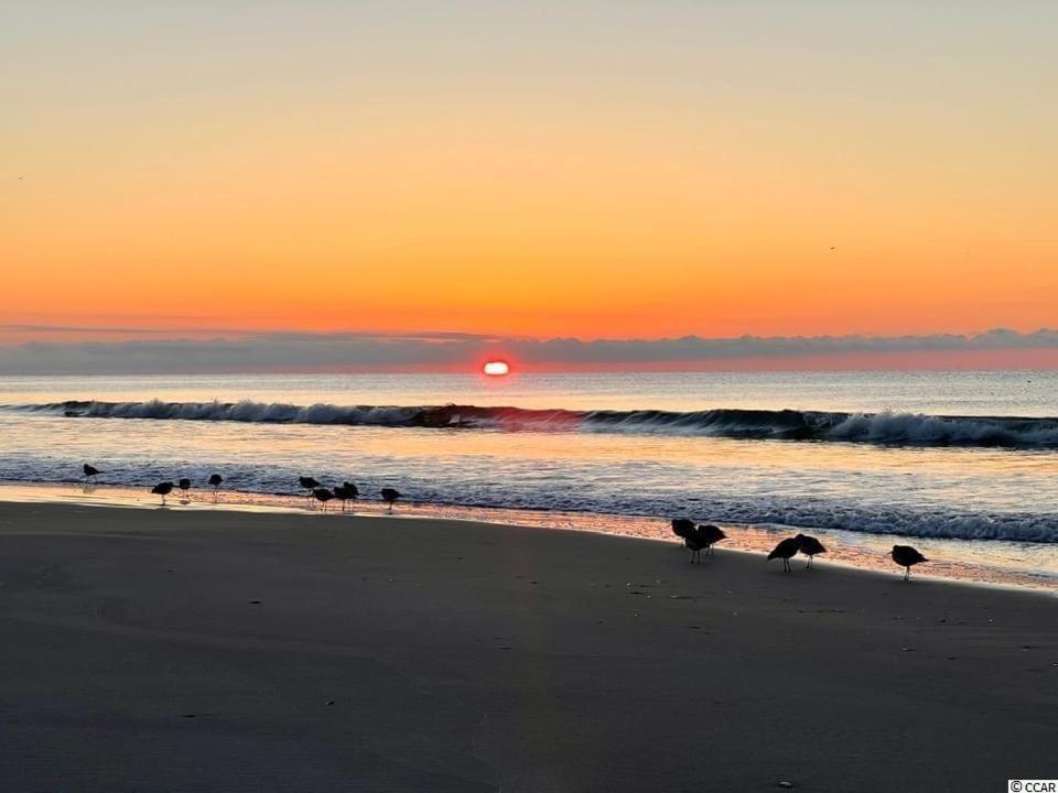 Beautiful Beachfront-Oceanfront First Floor 2Br 2Ba Condo In Cherry Grove, North Myrtle Beach! Renovated With A Fully Equipped Kitchen, 3 Separate Beds, Pool, Private Patio & Steps To The Sand! מראה חיצוני תמונה